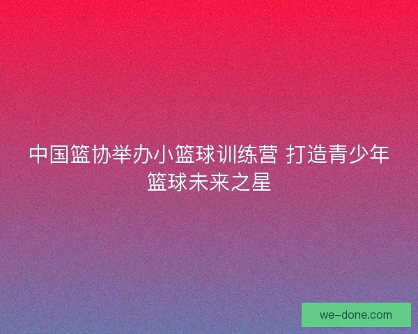 中国篮协举办小篮球训练营 打造青少年篮球未来之星
